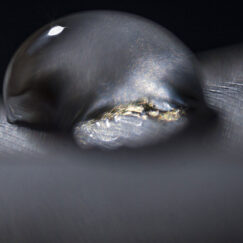 Divine Scar - Muriel Despiau - art contemporain - macro photographie