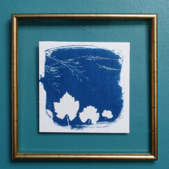 Cyanotype 10 - Valérie Gho - tableau contemporain