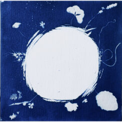 Cyanotype 14- Valérie Gho - artiste contemporaine