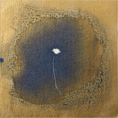 Cyanotype 17- Valérie Gho - artiste contemporaine