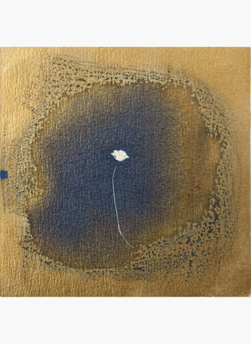 Cyanotype 17- Valérie Gho - artiste contemporaine