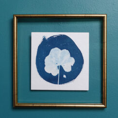 Cyanotype 6 - oeuvre sur papier - Valérie Gho - artiste contemporaine