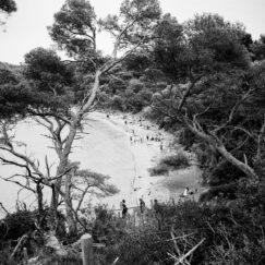 Porquerolles Plage d'argent - José Nicolas - photographe contemporain