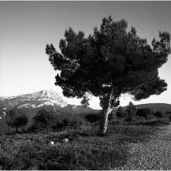 Sainte-Victoire (N&B1) - José Nicolas - photographe contemporain