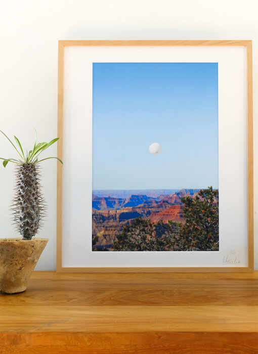 Wonderful Journey ballon volant flying balloon - Aurélia Faudot - photographe - vue situation